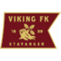 维京U19